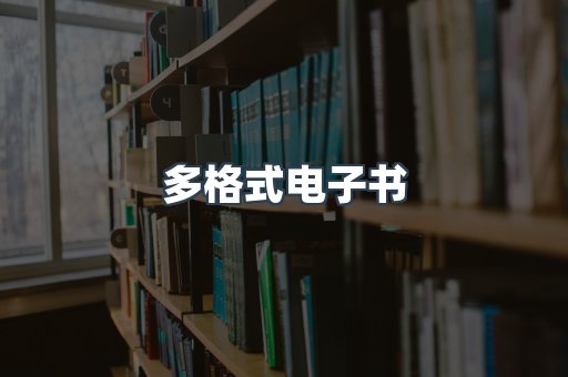 海外电子书